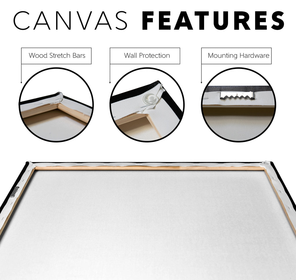 Cat's Eyes Canvas