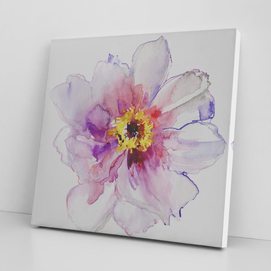 Flower in Full Bloom