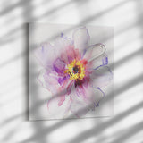 Flower in Full Bloom
