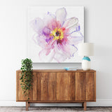 Flower in Full Bloom