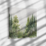 Sacred Trees