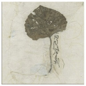 Wabi Sabi Simple Leaf