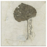 Wabi Sabi Simple Leaf
