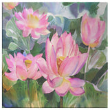 Waterlily Paradise