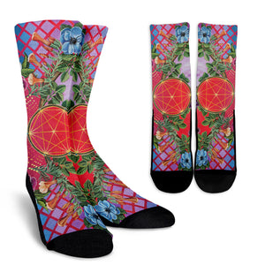 New Discoveries - Socks