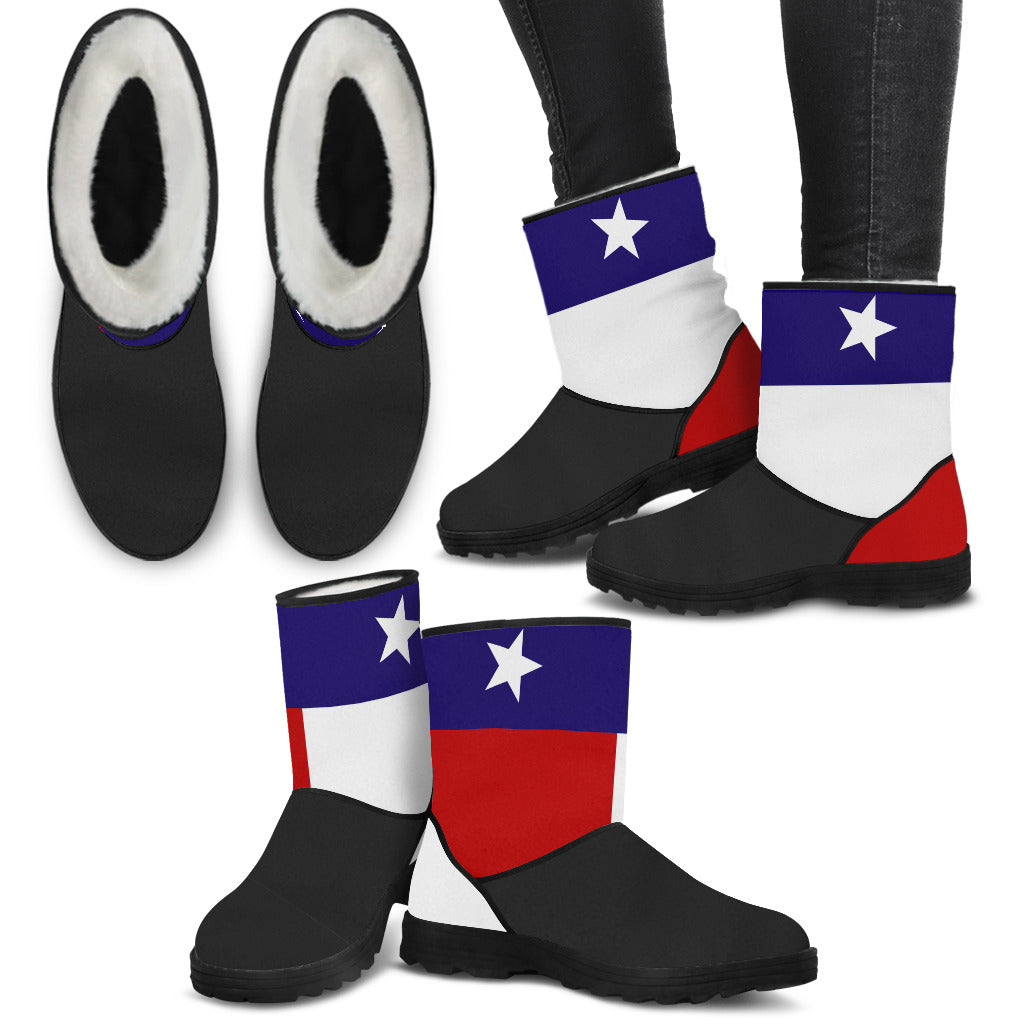 Texas Flag