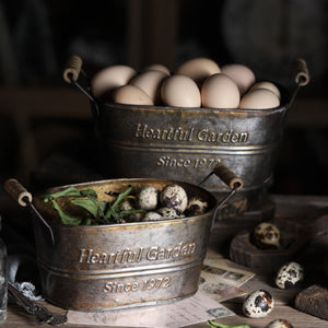 Farmhouse French Country Distressed Metal Storage Baskets For Rustic Kitchen Accents