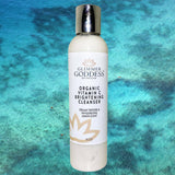 Organic Vitamin C Skin Brightening Cleanser