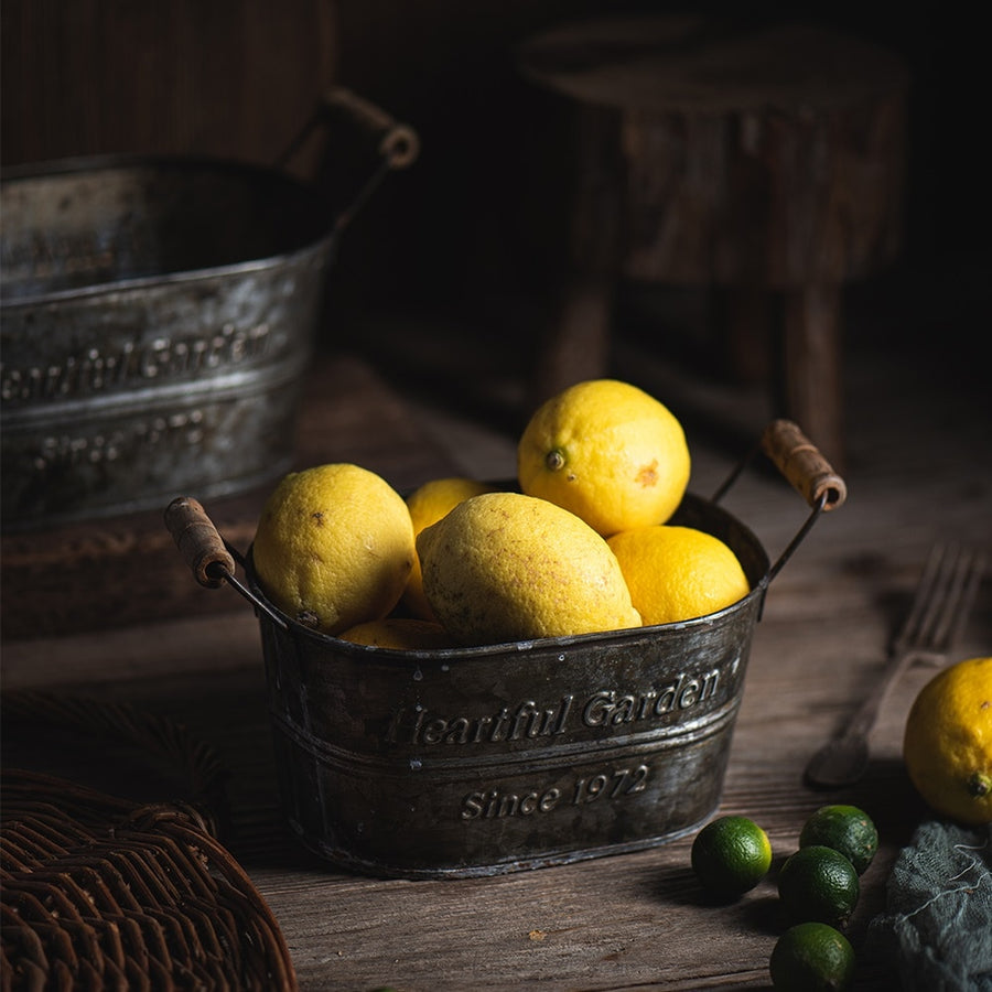 Farmhouse French Country Distressed Metal Storage Baskets For Rustic Kitchen Accents