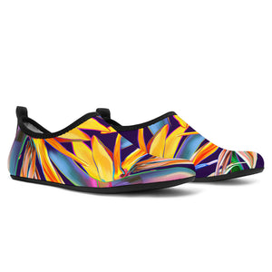 Birds of Paradise