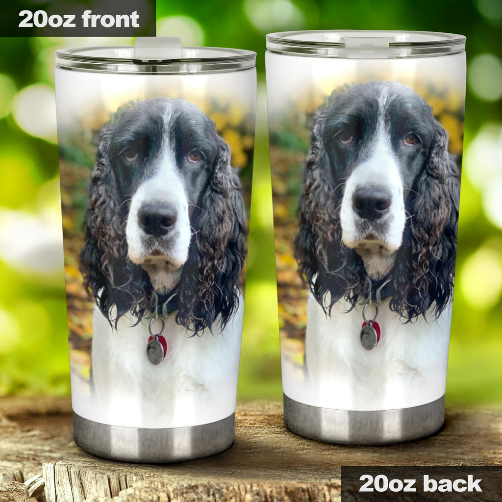 Photo Upload   Take Your Doggie With You