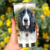 Photo Upload   Take Your Doggie With You