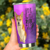 Corgi Life Is Better With A Dog