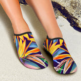 Birds of Paradise