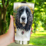 Photo Upload   Take Your Doggie With You