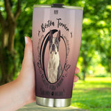 Boston Terrier Leaves Paw Prints