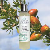Organic Sulfate Free Argan Oil Shampoo